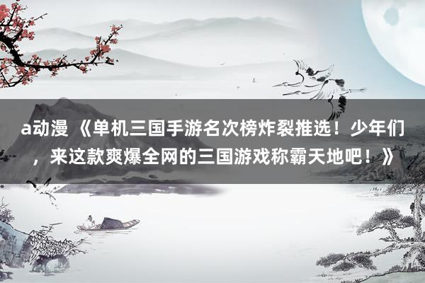 a动漫 《单机三国手游名次榜炸裂推选！少年们，来这款爽爆全网的三国游戏称霸天地吧！》