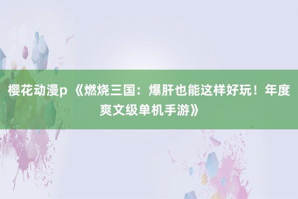 樱花动漫p 《燃烧三国：爆肝也能这样好玩！年度爽文级单机手游》